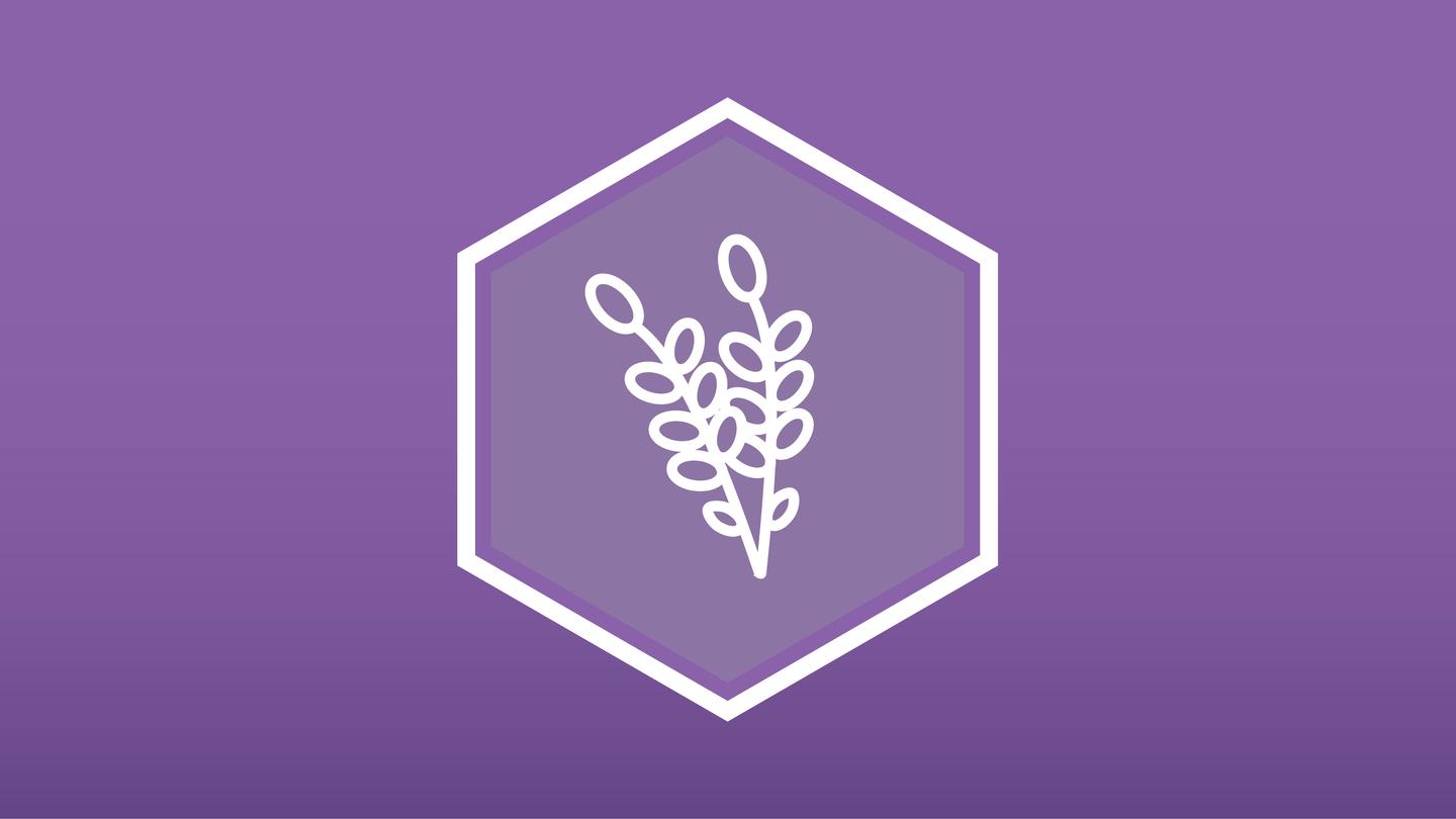 linalool terpene